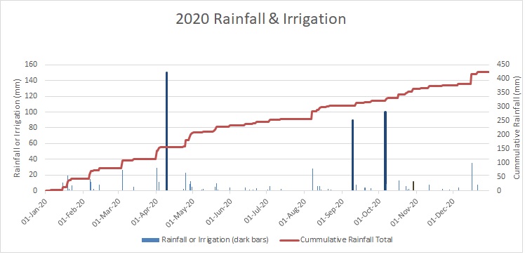 2020 Rainfall